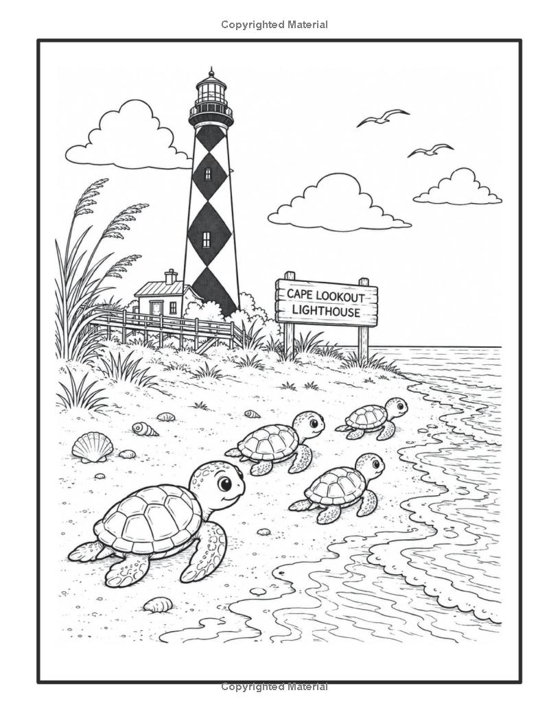 Four sea turtles heading toward the waves beside Cape Lookout Lighthouse, dune grass and seashells